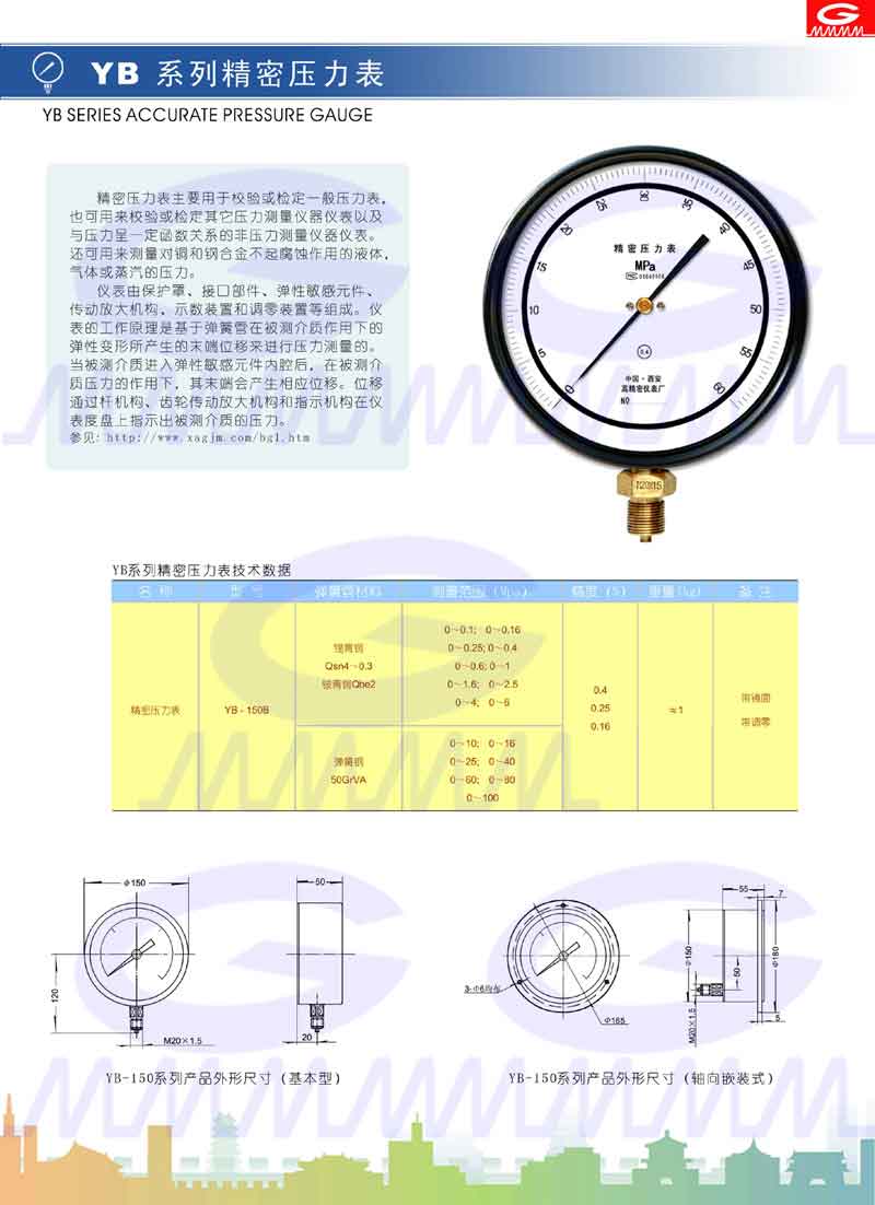 精密压力表样本